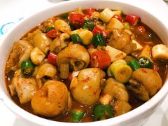 胡辣烧羊蹄-宁夏国强手抓羊肉·清真菜(未央路凤三店)