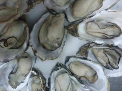 -胖子饺子馆·海鲜家常菜(海军博物馆店)