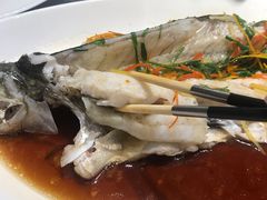 清蒸白鱼-春天来了(印象新天地店)