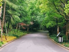 -吴淞炮台湾湿地森林公园烧烤区