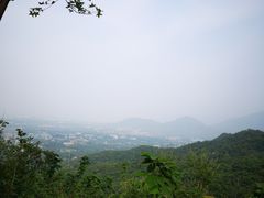 -北京鹫峰国家森林公园