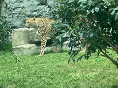 -北京野生动物园