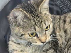 -吉友粥底火锅(方斜路店)