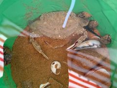-87号烧烤海鲜·大排档(金沙滩店)