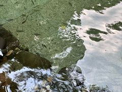 -罗浮山嘉宝田森林温泉度假酒店