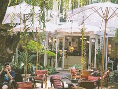 -Fern Forest Cafe