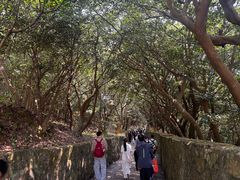 -普陀山慧济禅寺