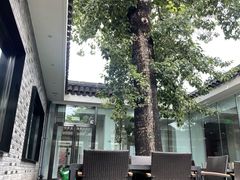 -自如ZSPACE四合院艺术餐厅