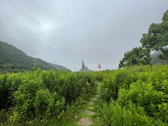 -花岙岛