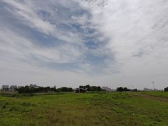 -苏州湾体育公园