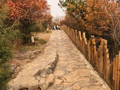 -白帝城·瞿塘峡景区