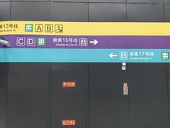 -望京西(地铁站)