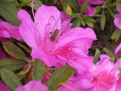 -苏州河梦清园环保主题公园