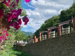 -Local泰莲庭(虹鳟鱼店)