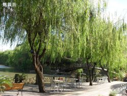 A&nbsp;(23)-金庭庄园酒店彩虹厅