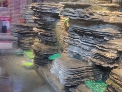 -渔掌门(铁东店)