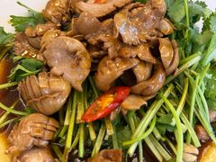 香菜拌猪腰-聪辉同安老美食饭店(大元路店)