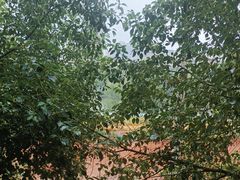 -马王堆海鲜水产市场