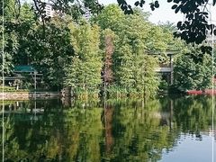 -荔湾湖公园