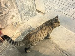 -正阳书局(西四南大街店)