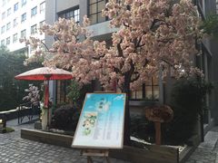 -徐家汇源景区-衡山坊