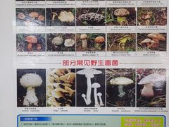 -双喜农庄·菌香园(安居家园店)