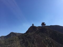 -王婆大虾(五道口店)