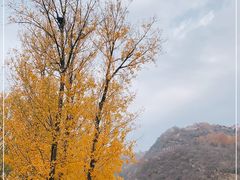 -云蒙山风景区