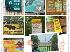 -红山森林动物园