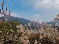 -浙西天池景区