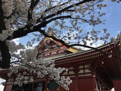 -浅草寺