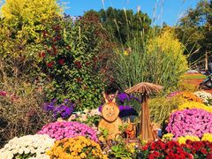 -上海共青森林公园