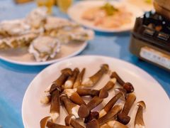 -千岛蚝高压锅生蚝·人参火锅(白云万达店)