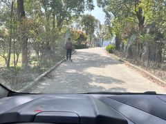 -不觉晓CAMPING(上海迪士尼营地店)