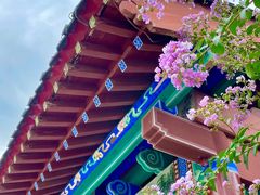 -济南大明湖景区