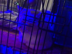 -赢吧Bliss音乐酒吧