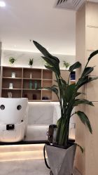 -BM SALON