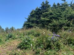 -白草畔自然风景区