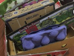 -西郊国际农产品交易中心