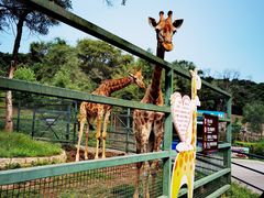 -沈阳森林动物园