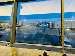 -谢列梅捷沃国际机场