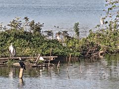 -海珠湖公园
