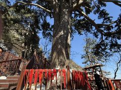 -终南山南五台景区