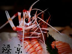 超低温十年南极鳌虾刺身-京彩臻品火锅