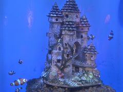 -海合安武汉极地海洋公园