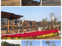 -上海长兴岛郊野公园