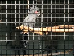 景点-九龙公园