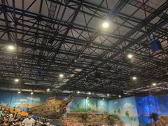 -华夏文旅海洋公园