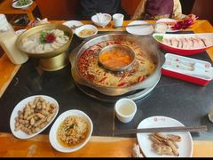 -一斗火锅·招财羊毛肚(北温泉九号店)