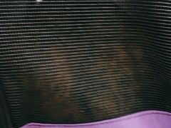 -瑞派动物医院·猫专科·至诚(江南中分院)